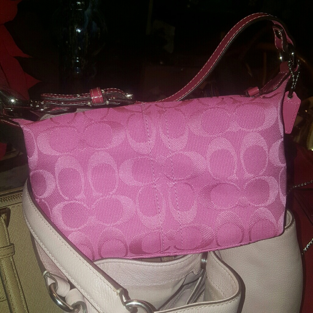 Coach  makeup bag